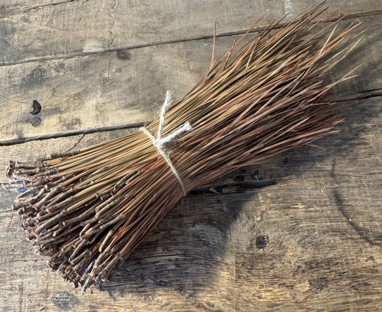 Short Leaf Pine Needles for Basketmaking Basketry 16oz per Bundle