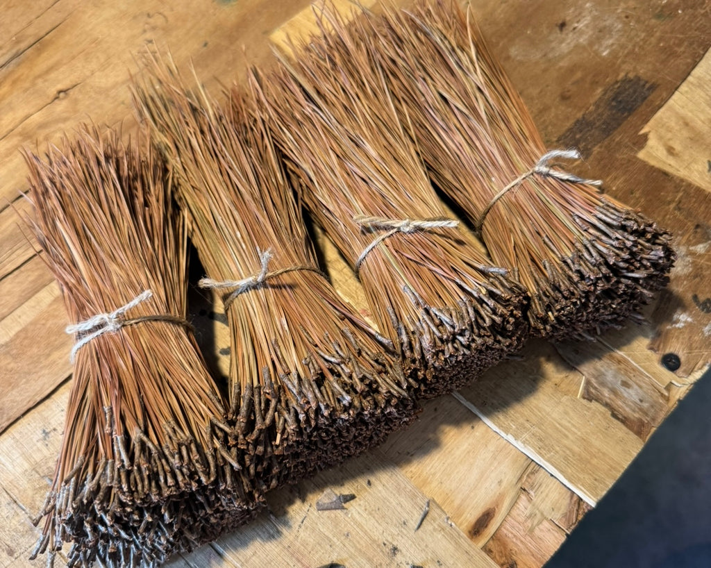 Short Leaf Pine Needles for Basketmaking Basketry 16oz per Bundle
