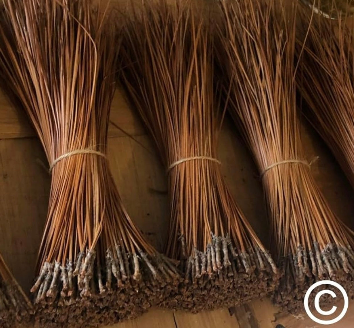 Long Leaf Pine Needles for Basketmaking Basketry 16oz per Bundle