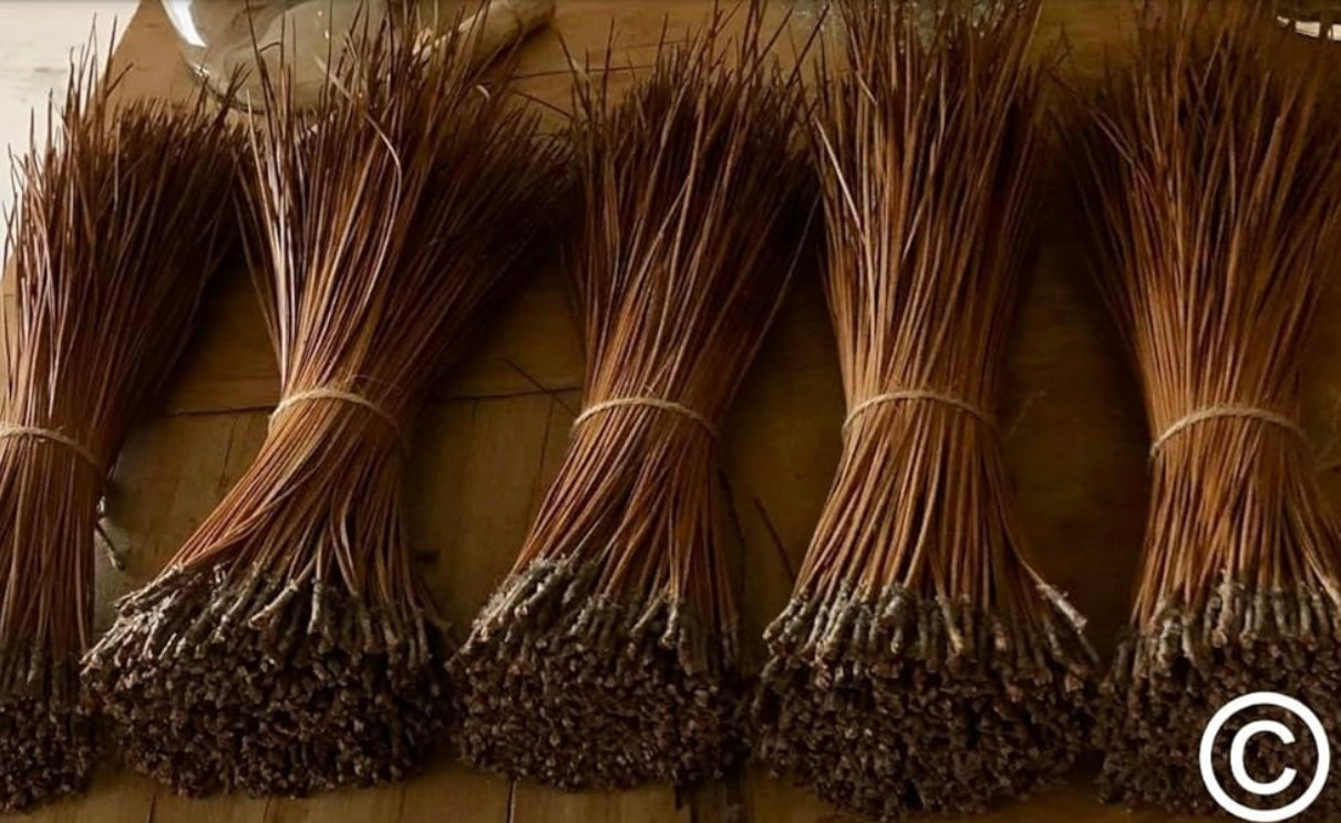 Long Leaf Pine Needles for Basketmaking Basketry 16oz per Bundle