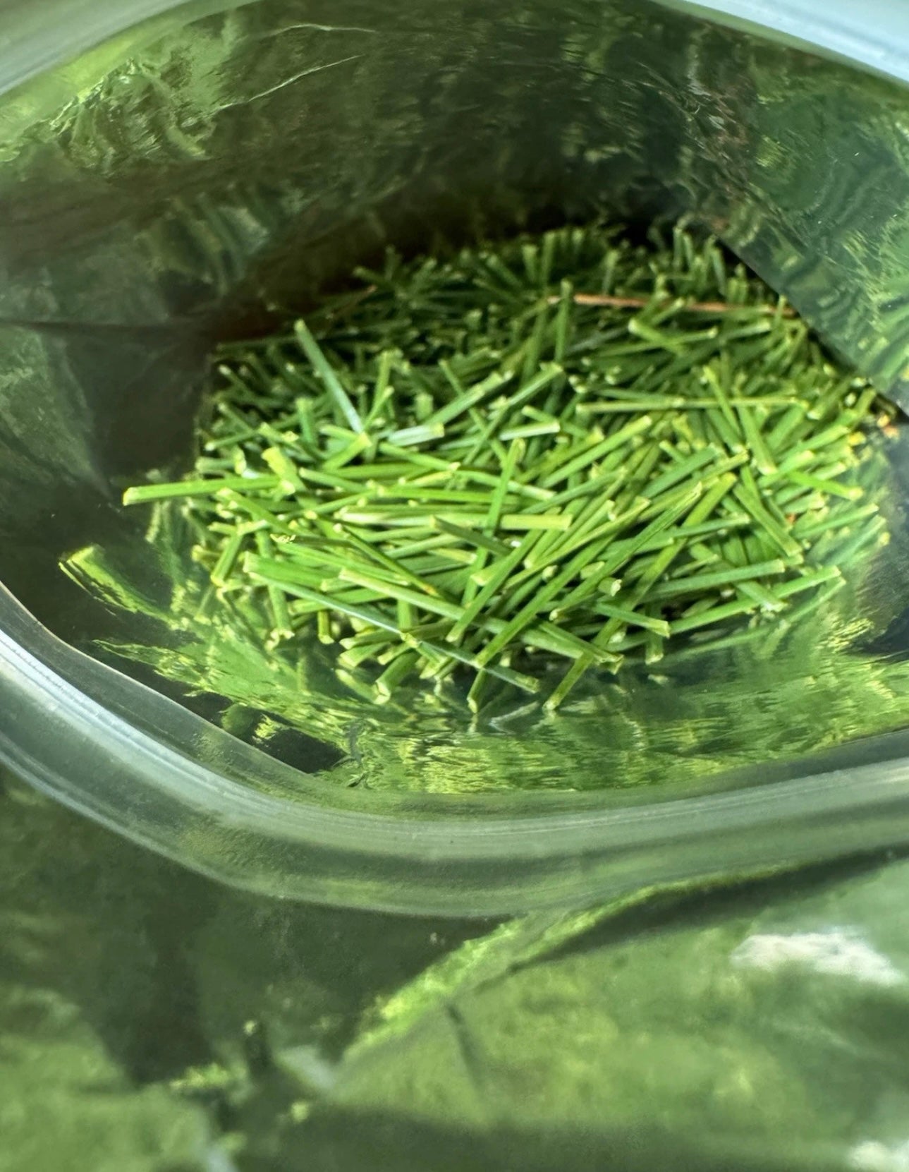 The Tall Pine Organic Pine Needle Tea 4oz - Pure Antioxidant